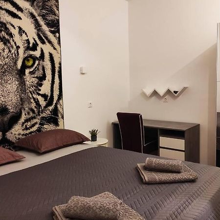 Spacious Apartment Near City Center And The Beach Split Exteriör bild