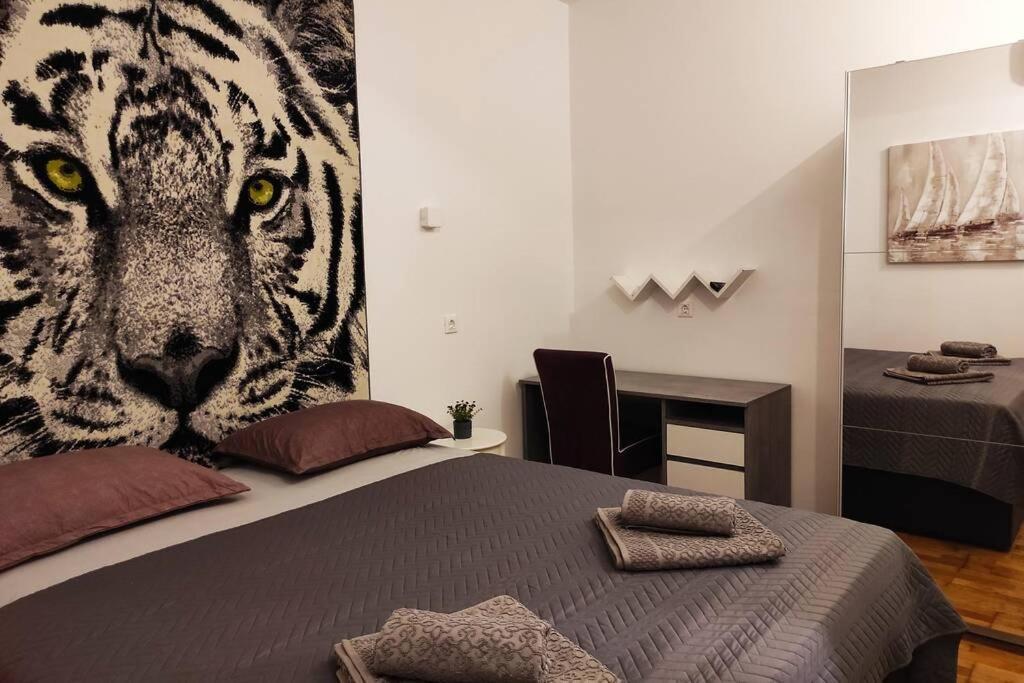 Spacious Apartment Near City Center And The Beach Split Exteriör bild