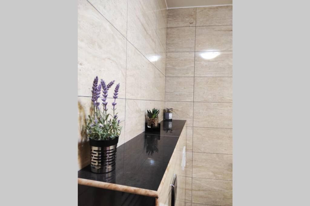 Spacious Apartment Near City Center And The Beach Split Exteriör bild