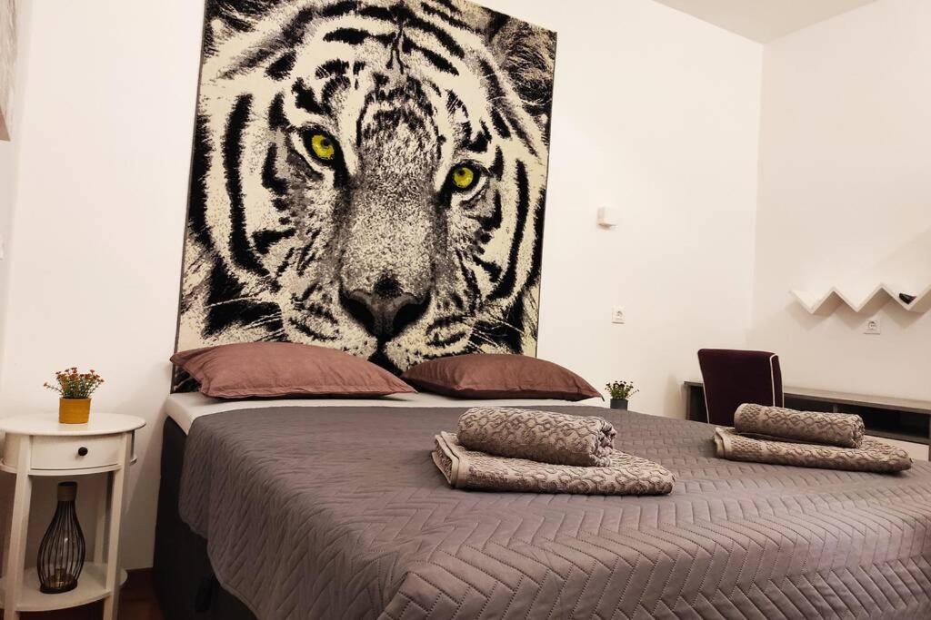 Spacious Apartment Near City Center And The Beach Split Exteriör bild